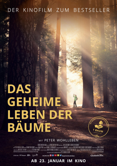 Kino Scala Das Geheime Leben Der Baume